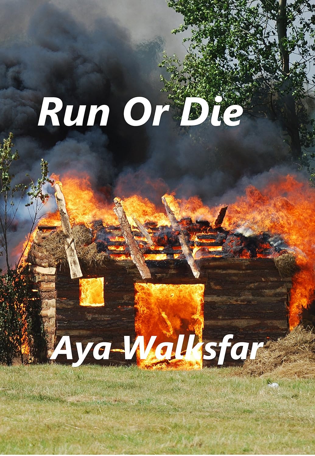 Walksfar-A_USA_b3